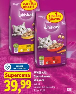 Whiskas Sucha karma dla kota