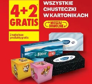 Wszystkie chusteczki w kartonikach