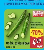 Ogórki szklarniowe
