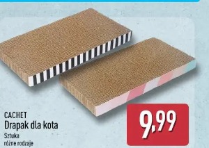 Cachet drapak dla kota