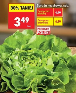Sałata masłowa