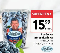 Borówka amerykańska SAN LUCAR