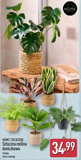Home Creation Sztuczna roślina doniczkowa