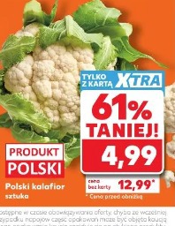 Polski kalafior sztuka