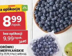 Borówki amerykańskie