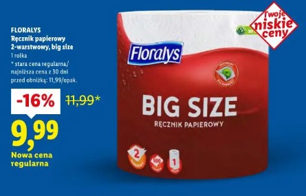 Ręcznik papierowy 2-warstwowy 