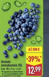 Borówki amerykańskie XXL
