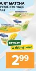 Jogurt Matcha Polmlek