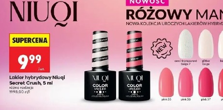 Lakier hybrydowy Niuqi Secret Crush