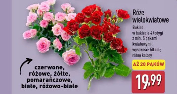 Róże wielokwiatowe