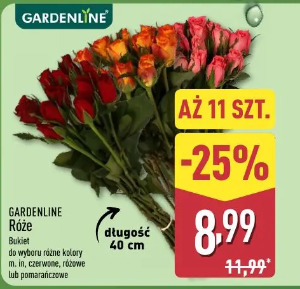 GARDENLINE Róże bukiet