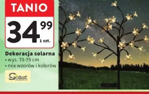 Dekoracja solarna Soltat