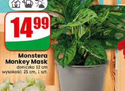 Monstera Monkey Mask