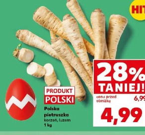 Polska pietruszka korzeń