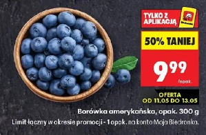 Borówka amerykańska