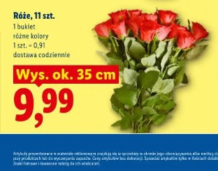 Róże, 11 szt.