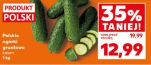 Polskie ogórki gruntowe