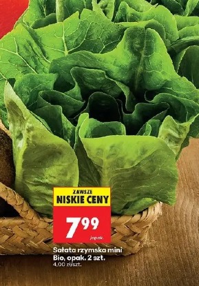 Sałata rzymska mini Bio