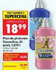 Płyn do płukania Coccolino