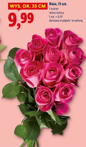 Róże, 11 szt.