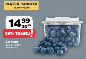 Borówka