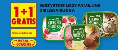 Wszystkie lody familijne Zielona Budka