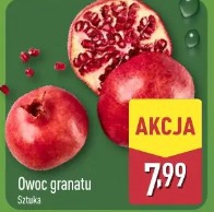 Owoc granatu