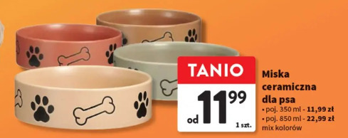 Miska ceramiczna dla psa