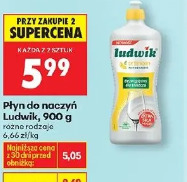 Płyn do naczyń Ludwik