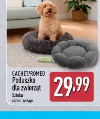 Cachet/Romeo Poduszka dla zwierząt