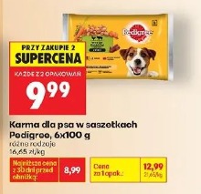 Pedigree karma dla psa w saszetkach