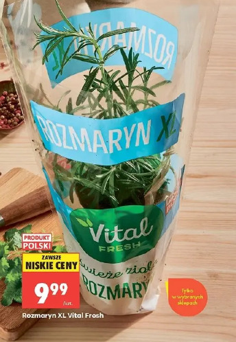 Rozmaryn XL Vital Fresh