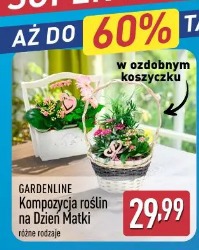 Kompozycja roślin na Dzień Matki