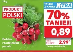 Polska rzodkiewka pęczek