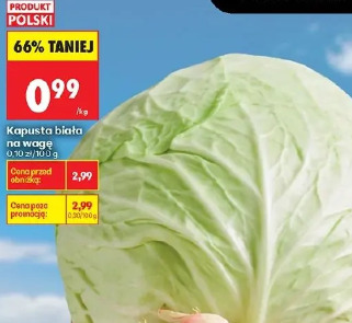 Kapusta biała