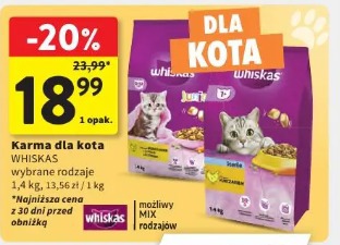 Karma dla kota Whiskas