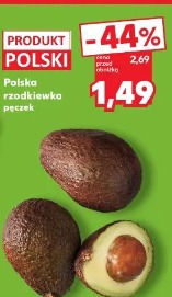 Awokado Hass dojrzałe sztuka