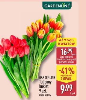 Tulipany bukiet 9 szt.