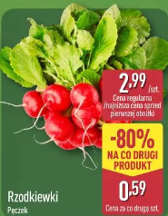 Rzodkiewki