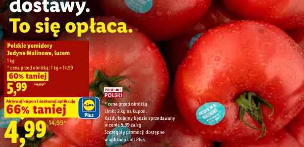 Polskie pomidory Jedyne Malinowe