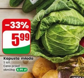 Kapusta młoda