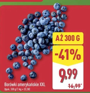 Borówki amerykańskie XXL
