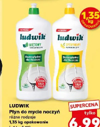 Ludwik płyn do mycia naczyń różne rodzaje