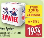 Piwo Żywiec