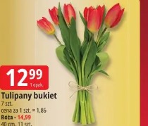 Tulipany bukiet