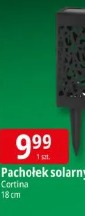 Pachołek solarny Cortina