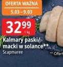 Kalmary paski/macki w solance Scapmaree