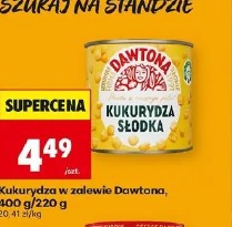 Kukurydza w zalewie Dawtona