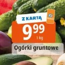 Ogórki gruntowe