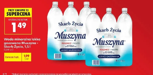 Woda mineralna lekko gazowana Muszyna - Skarb Życia
